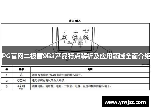 PG官网二极管9B3产品特点解析及应用领域全面介绍