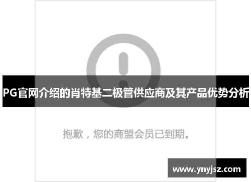 PG官网介绍的肖特基二极管供应商及其产品优势分析